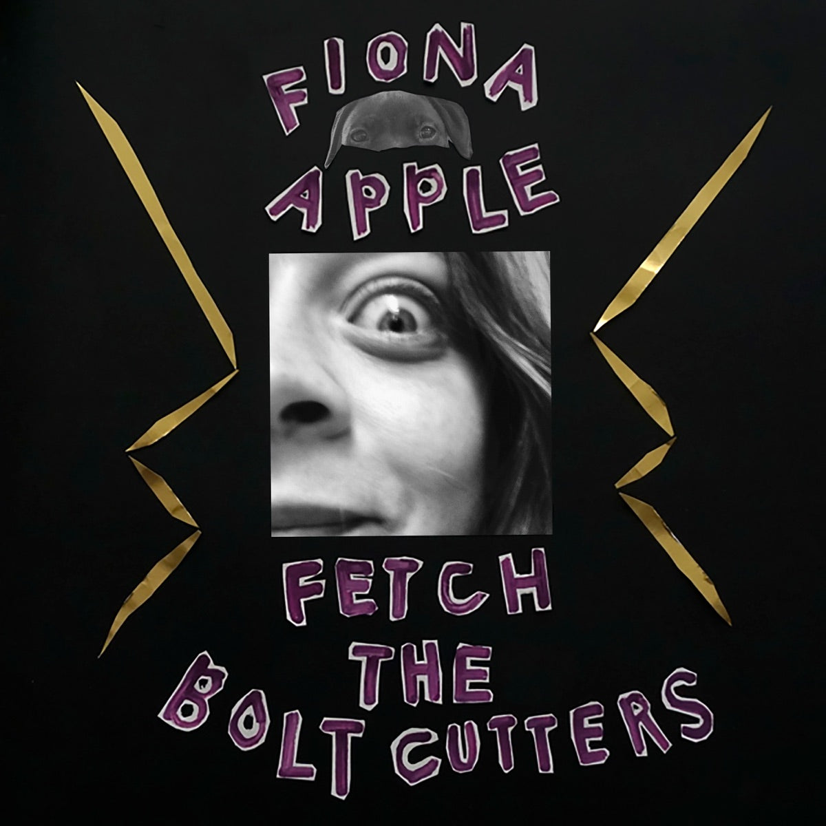 Apple, Fiona - Fetch the Bolt Cutters