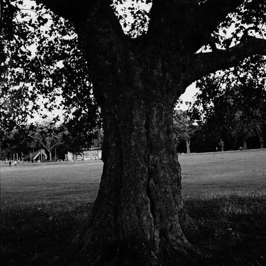 Marshall, Archy - New Place 2 Drown Instrumentals