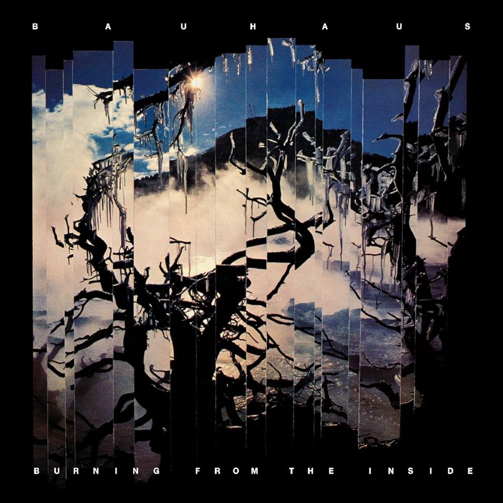 Bauhaus - Burning From the Inside