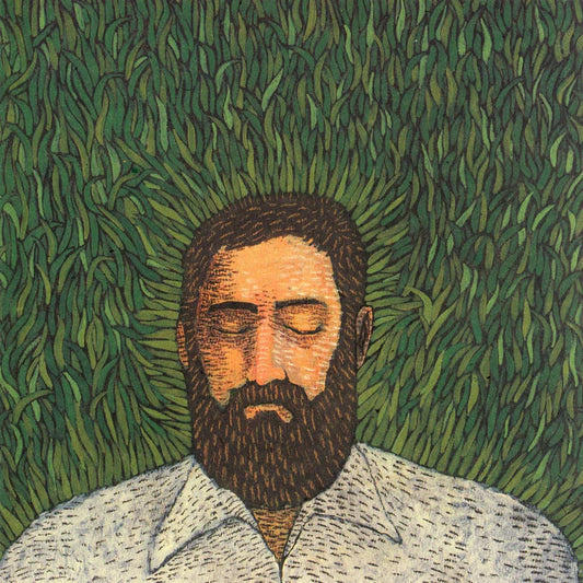 Iron and Wine - Our Endless Numbered Days
