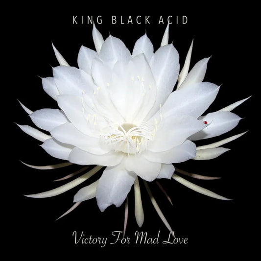 King Black Acid - Victory for Mad Love