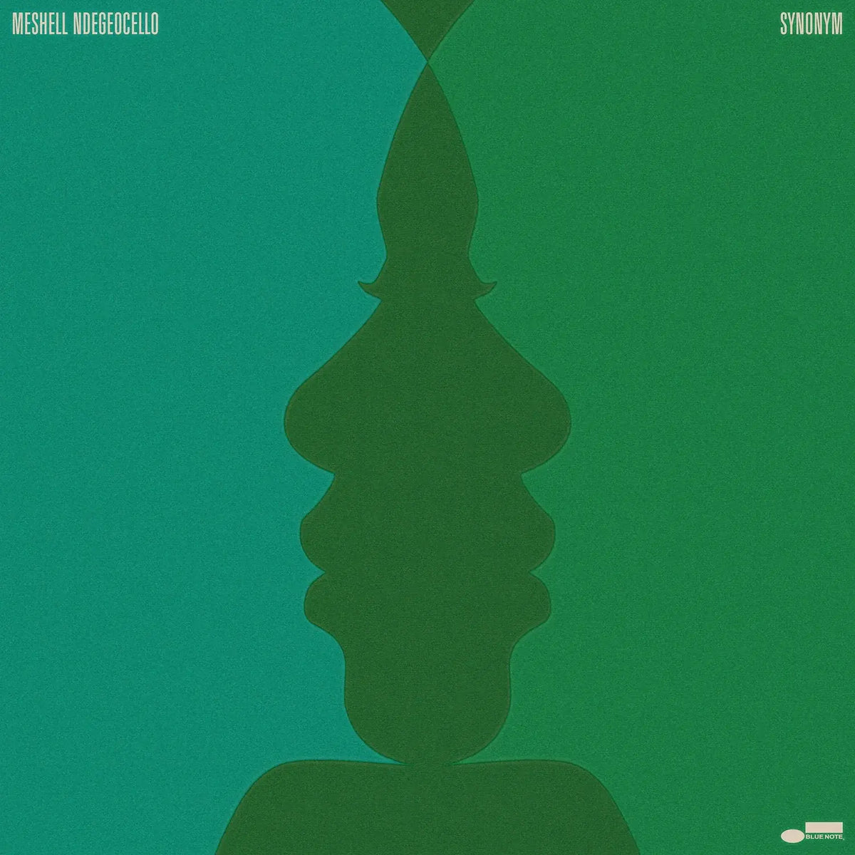 Ndegeocello, Meshell - Synonym