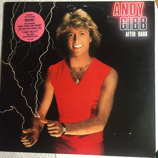 Gibb, Andy  - After Dark (VG)