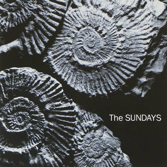 Sundays - Reading, Writing, & Arithmetic