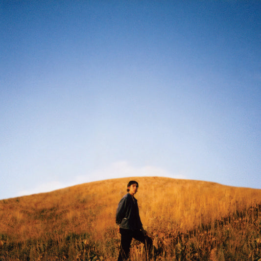 Burton, Sam - Dear Departed