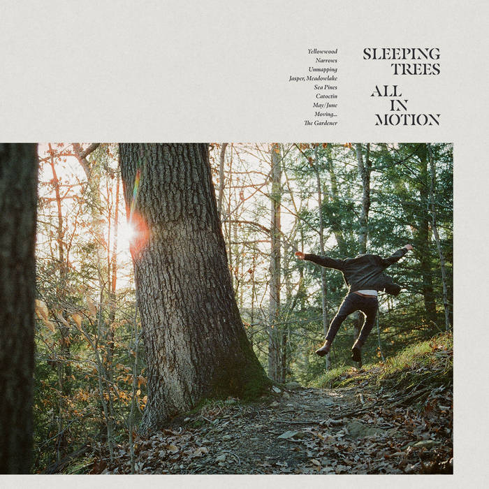 Sleeping Trees - All In Motion