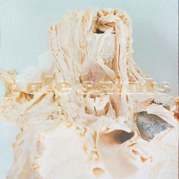 Pale Saints - In Ribbons 30th Anniversary Reissue