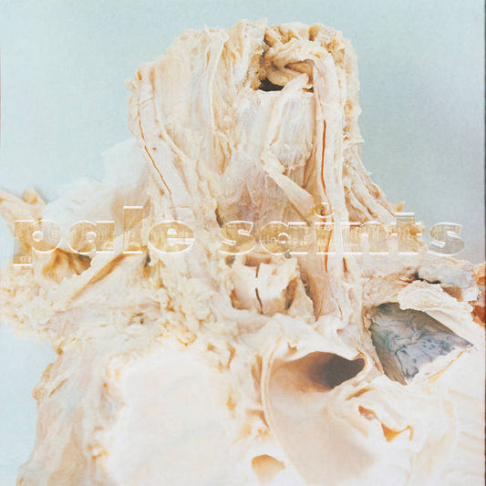 Pale Saints - In Ribbons 30th Anniversary Reissue