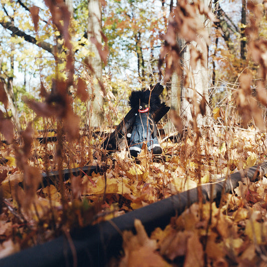 Woods, Billy - Golliwog