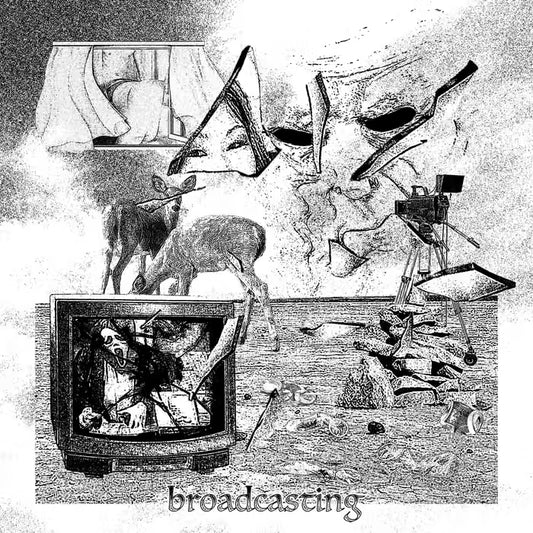 D.R.L.N. - Broadcasting (CASS)