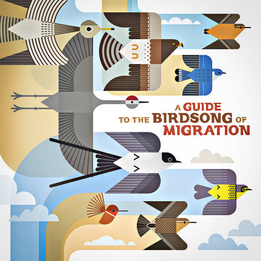 Various Artists - A Guide To The Birdsong Of Migration