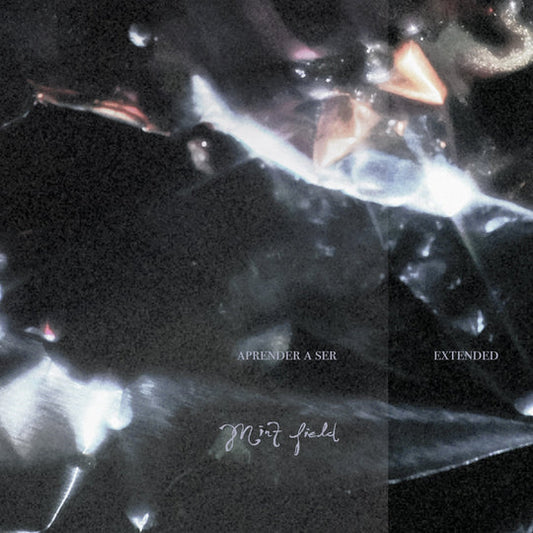 Mint Field - Aprender A Ser (Extended)
