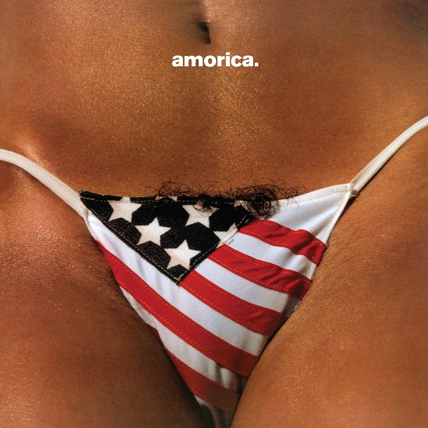 Black Crowes - Amorica