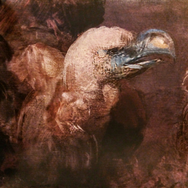 Hate Eternal : Upon Desolate Sands (LP, Album)