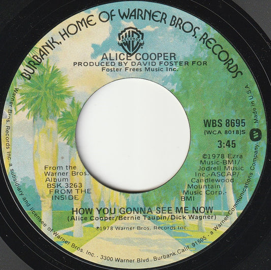 Alice Cooper (2) : How You Gonna See Me Now (7", Single)
