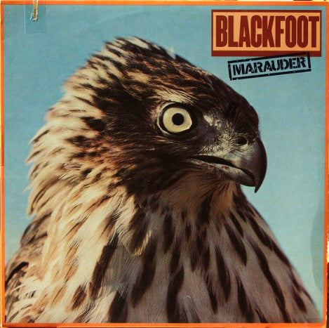 Blackfoot (3) : Marauder (LP, Album, SP )