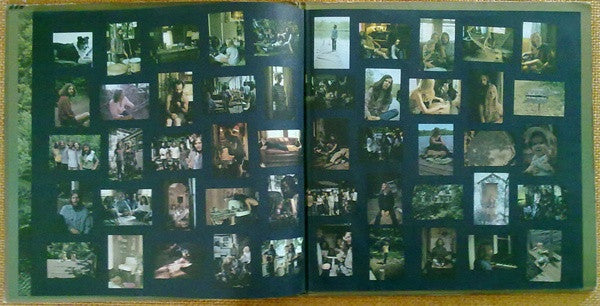 Oxpetals : The Oxpetals (LP, Album, Pre)