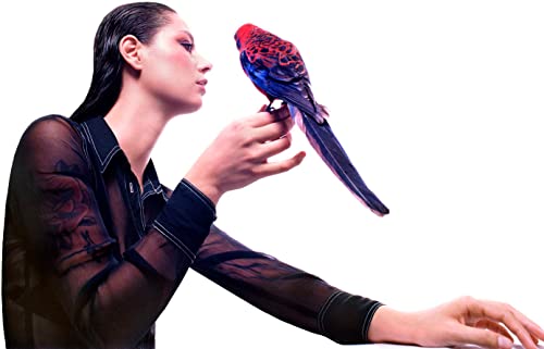 Cummings, Grace - Storm Queen (White Vinyl)