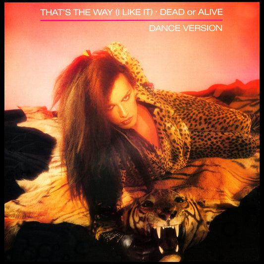 Dead Or Alive : That's The Way (I Like It) (Dance Version) (12")