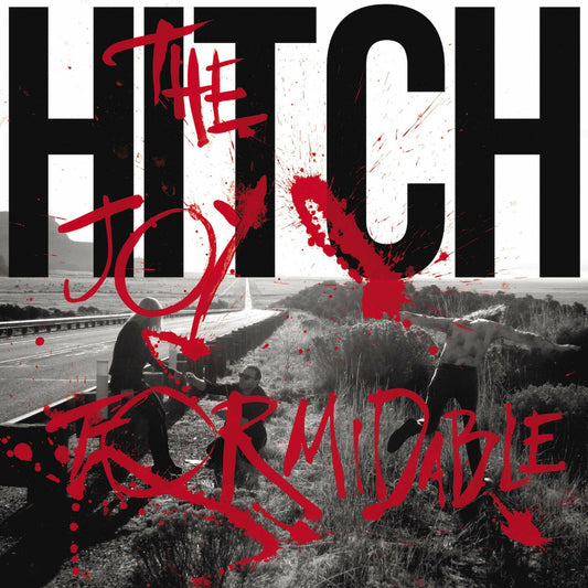 Joy Formidable - Hitch