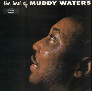 Waters, Muddy - Best of Muddy Waters