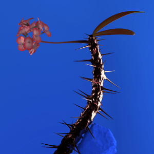 Flume - Skin Companion EP II