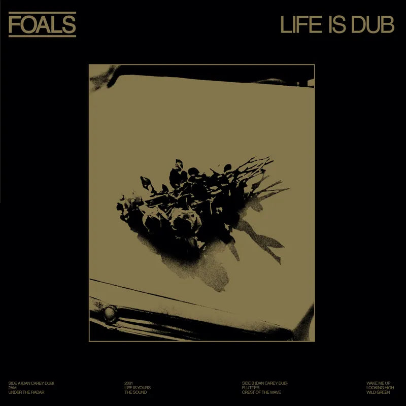 Foals - Life is Dub