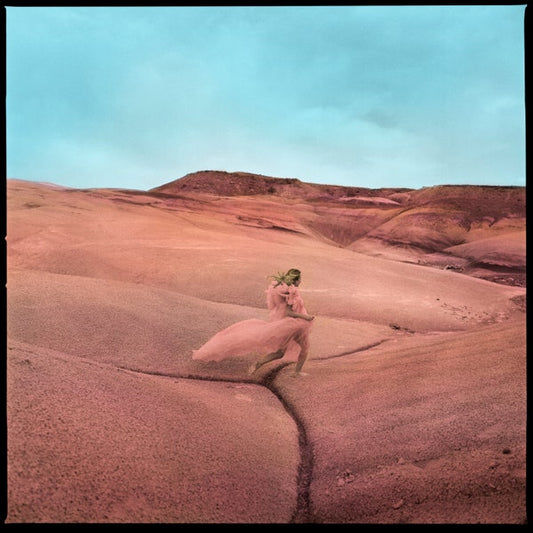 Price, Margo - Strays