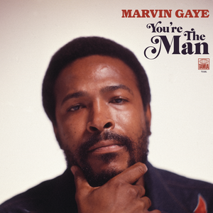 Gaye, Marvin - You're the Man