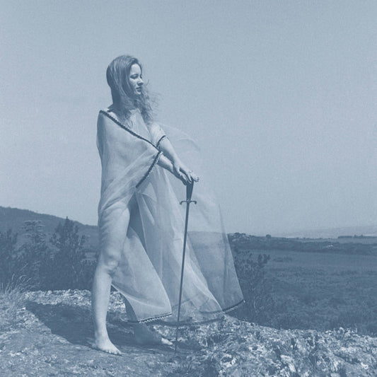 Unknown Mortal Orchestra - Blue Record