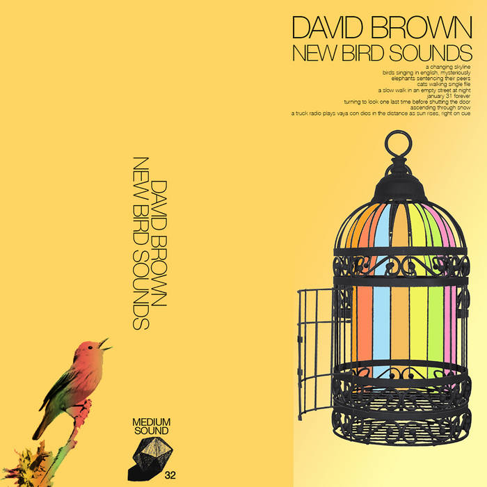 Brown, David - New Bird Sounds