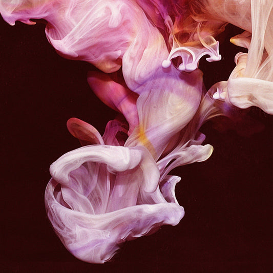 Simian Mobile Disco - Murmurations
