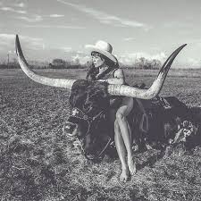 Lane, Nikki - Highway Queen