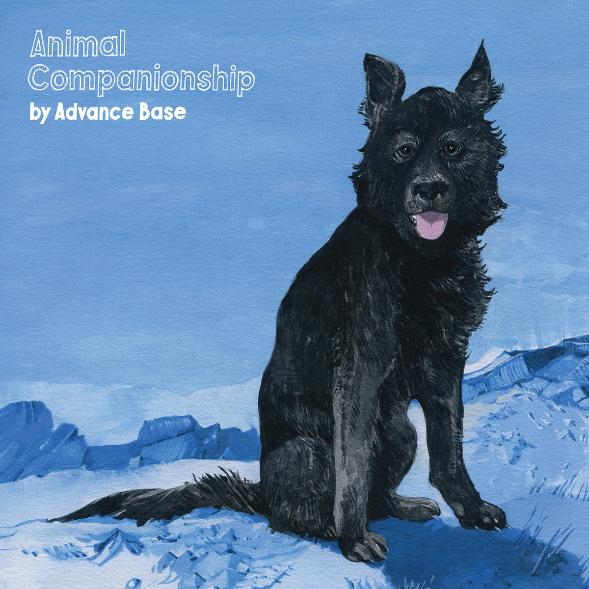 Advance Base - Animal Companionship (Blue Swirl)