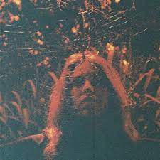 Turnover - Peripheral Vision (Orange)