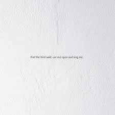 Prairie - And the Bird Said: Cut Me Open and Sing Me (Clear Vinyl)