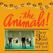 Animals - Animal Tracks