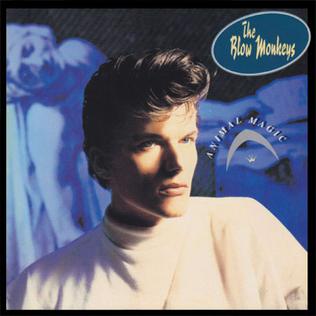 Blow Monkeys - Animal Magic