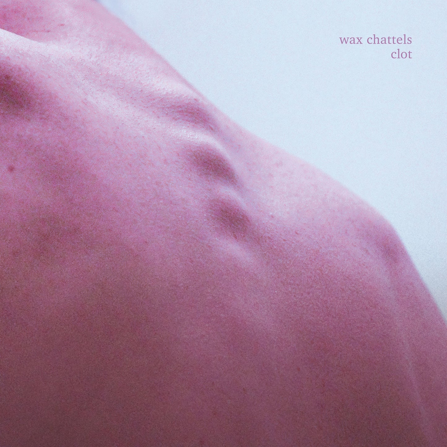 Wax Chattels - Clot (Orchid Vinyl)