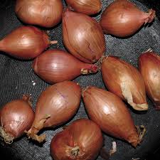 Segall, Ty - Fried Shallots
