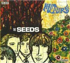 Seeds - Future